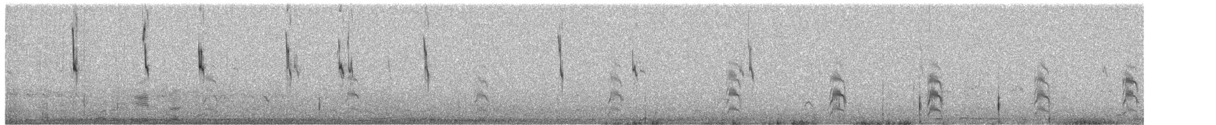 コシジロウズラシギ - ML650533252