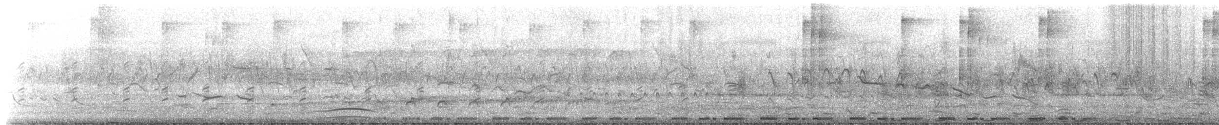 ベニバト - ML650533285