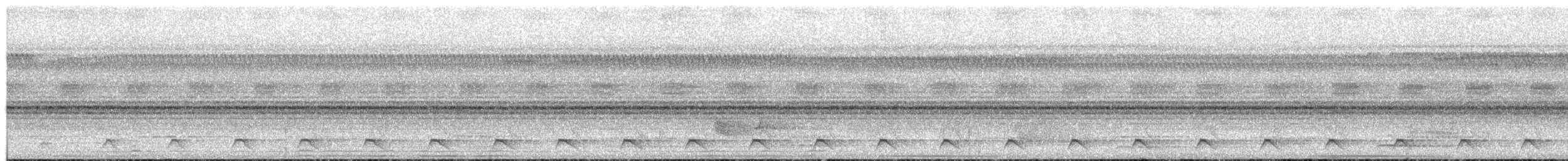 アマゾンキヌバネドリ - ML650533317