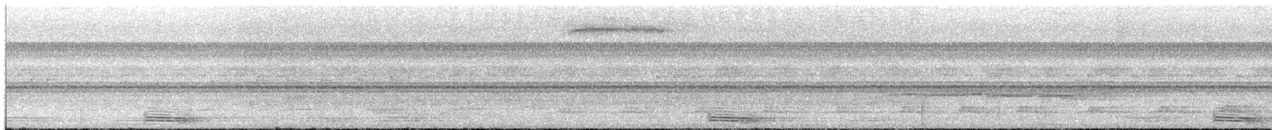 ヒロハシハチクイモドキ - ML650533333