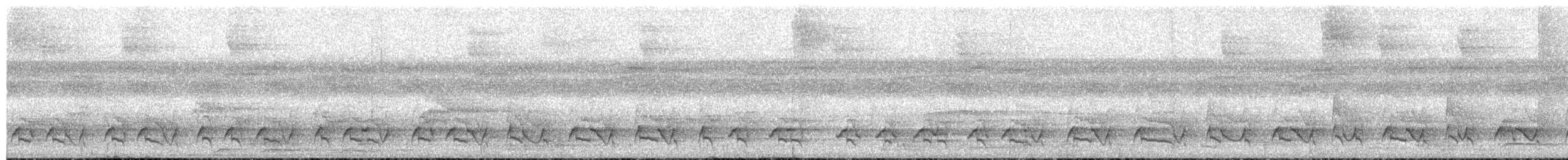 シロビタイアマドリ - ML650533344