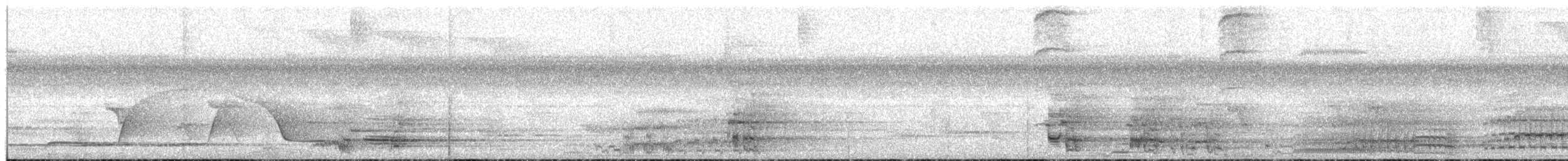 ムジボウシインコ - ML650533359