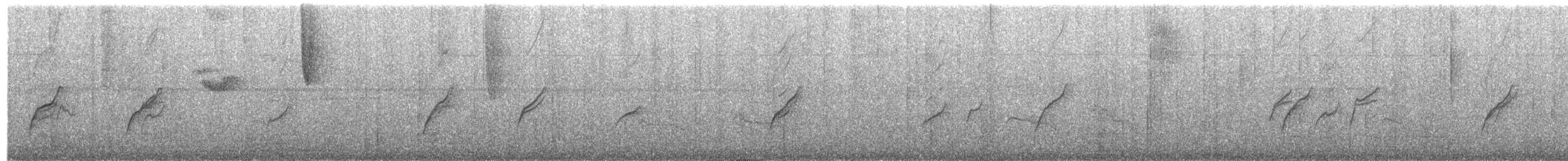 Sickle-winged Guan - ML650534660