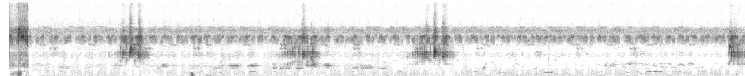 Ekru Tepeli Tiranület - ML650535778