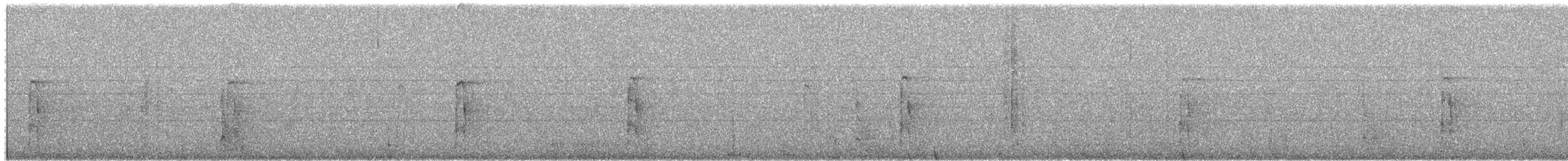 Pico Velloso (grupo villosus) - ML650536249