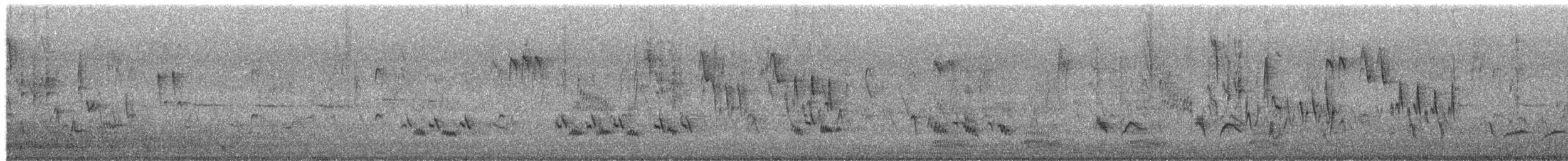 Northern House Wren - ML650544161