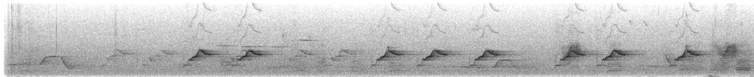 Міагра сріблиста - ML650544228