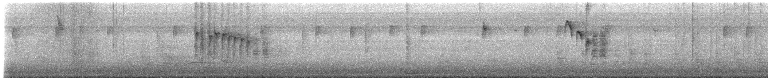 Гіла каролінська - ML650544425