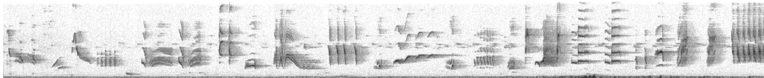 Тремблер рудий - ML650544430