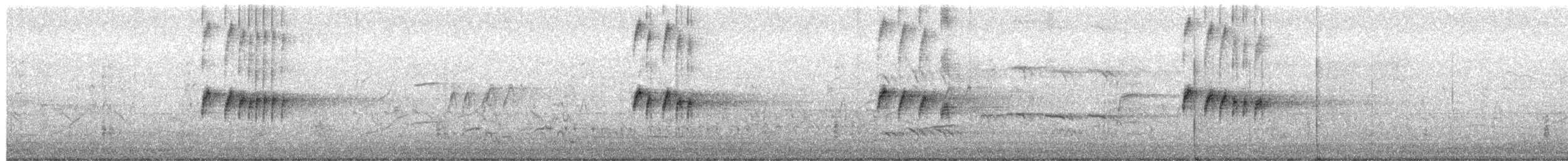 Тиран тропічний - ML650544894