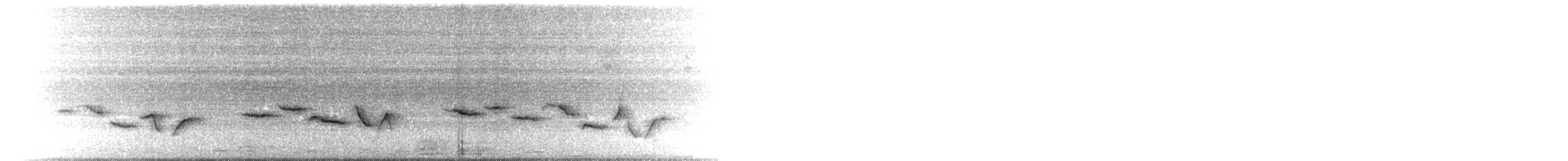 Поплітник рудоволий - ML650545000