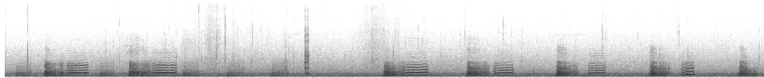 Левинія австралійська - ML650545138