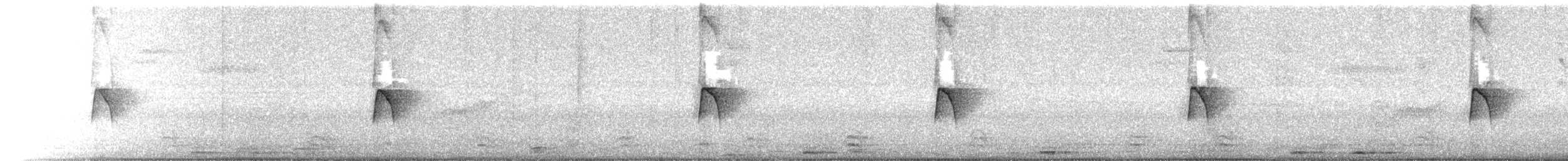 חטפית צהובת-גחון - ML650546066