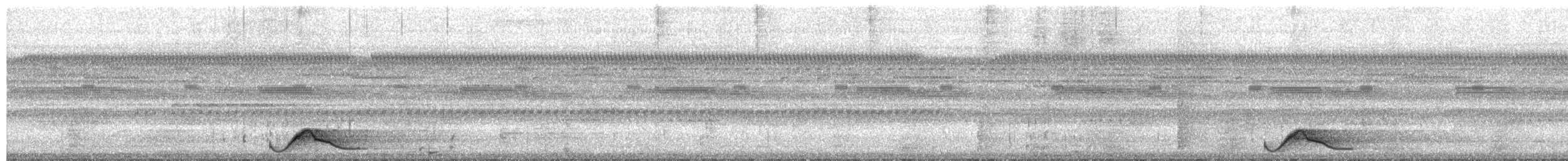 Common Pauraque - ML650547656