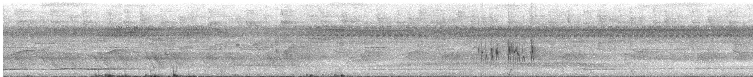 Social Flycatcher - ML650547718