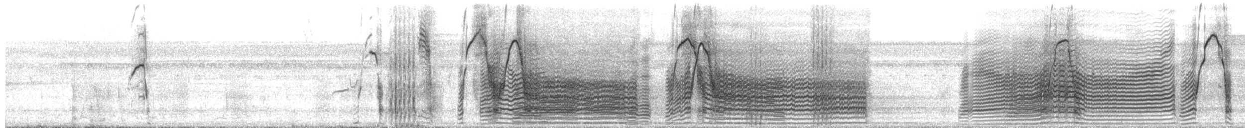 Giant Otter - ML650547756