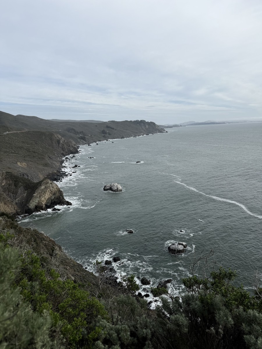 Gull Rock--Hwy 1 MM 10 - Marin, California, US - Birding Hotspots