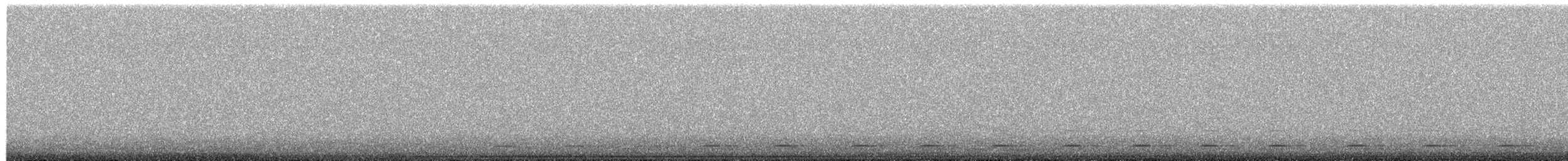 Northern Saw-whet Owl - ML650551708