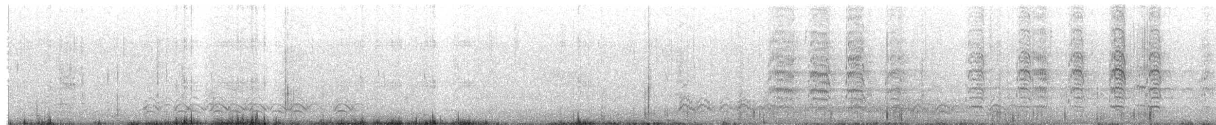 Conure nanday - ML650552280