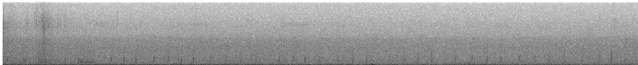 Ruffed Grouse - ML650555723