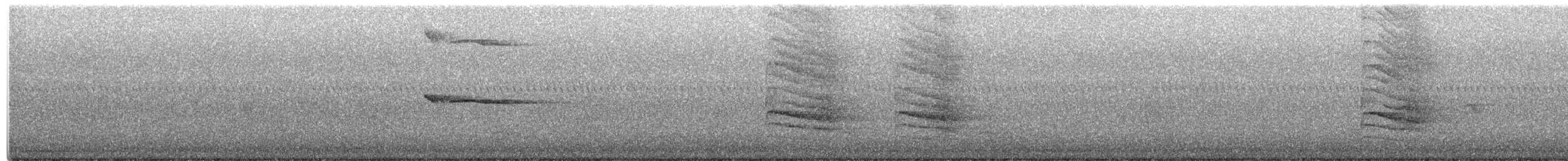 Broad-winged Hawk - ML650556122