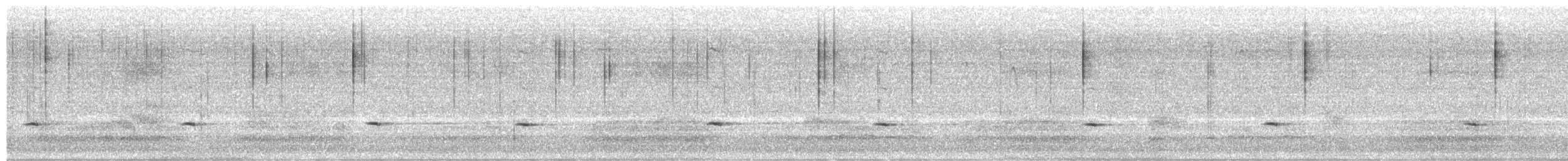 Townsend Soliteri - ML650556402