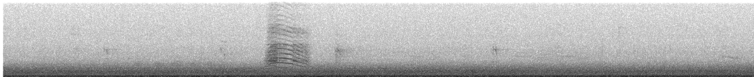 Miaulari grisa - ML650556607