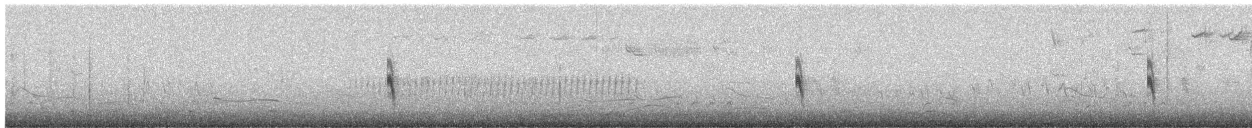 Northern Mockingbird - ML650557051