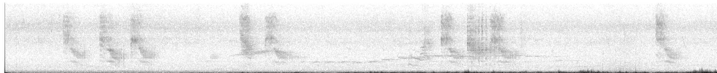 Кубла строката - ML650557861