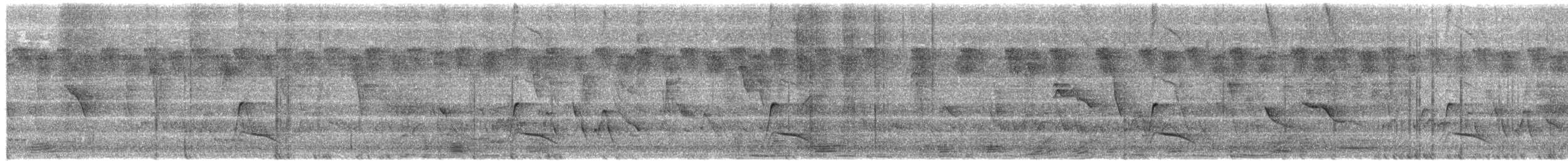 Кубла строката - ML650558101