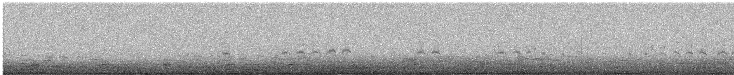 Forster's Tern - ML650558882