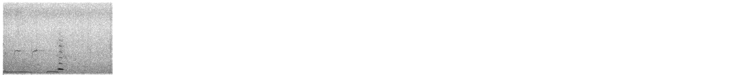 黑天鵝 - ML650559645