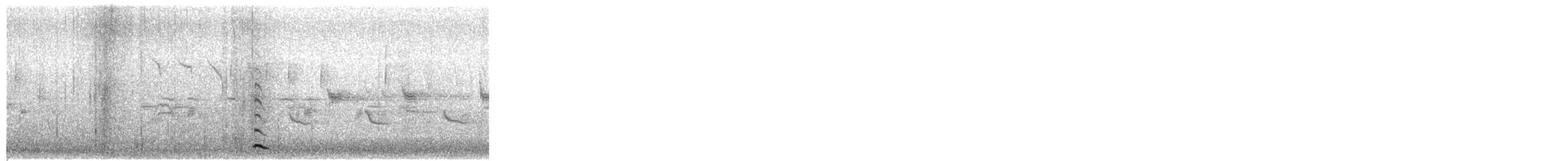 黑天鵝 - ML650559646