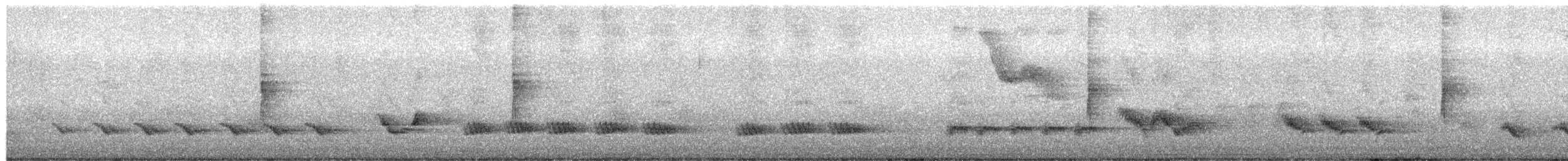 Northern Mockingbird - ML650572630