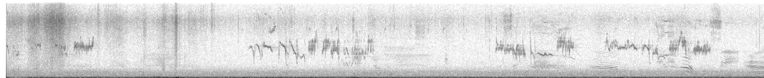 White-crowned Sparrow - ML650573109