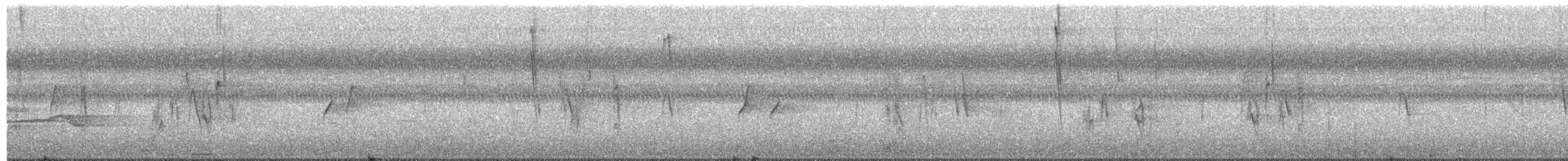 White-vented Euphonia - ML650573372