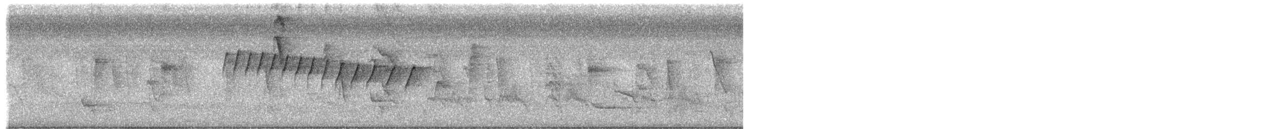 White-browed Gnatcatcher - ML650582780