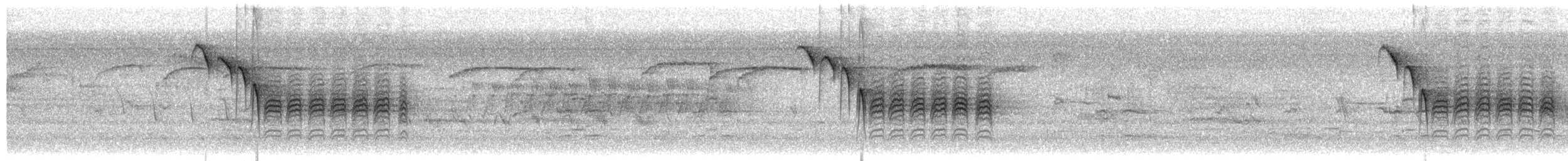 Carbonero de Carolina - ML650587756