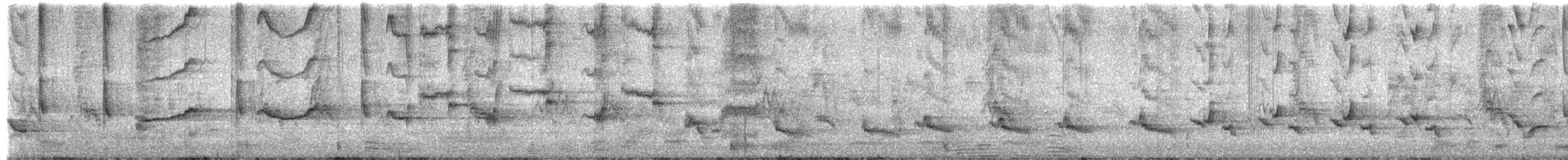 Northern Mockingbird - ML650591752