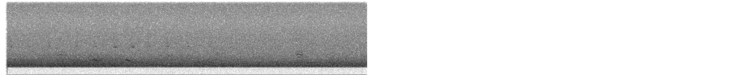 Баранець малий - ML650593107