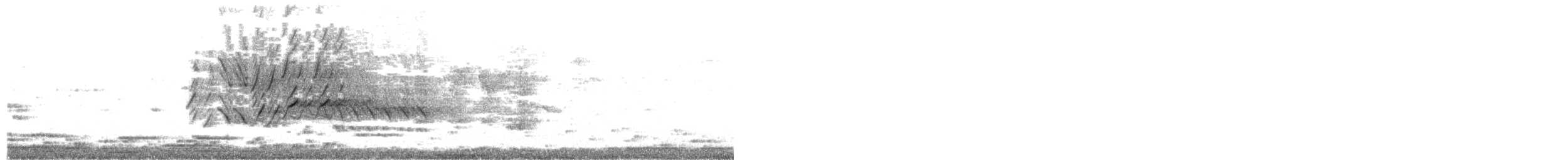 Carib Grackle - ML650595842