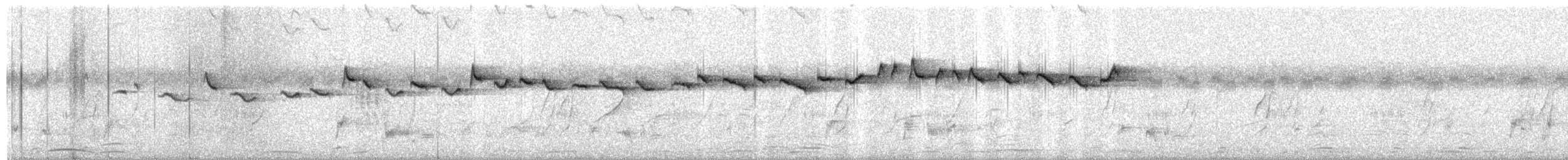 Индийская пятнистая пищуха - ML650599604