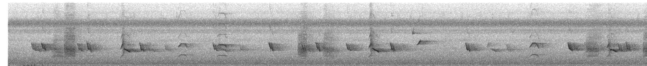 Hair-crested Drongo (White-eyed) - ML650600116