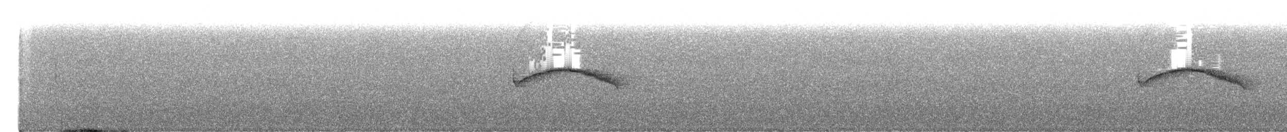 Chestnut-bellied Chat-Tyrant - ML650601902