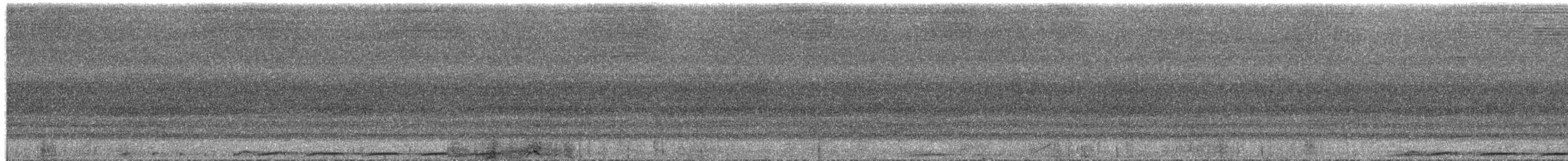 Суланская длиннохвостая горлица - ML650602448