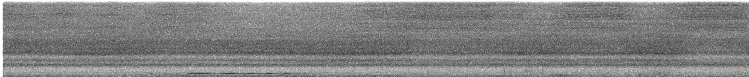 Суланская длиннохвостая горлица - ML650602567