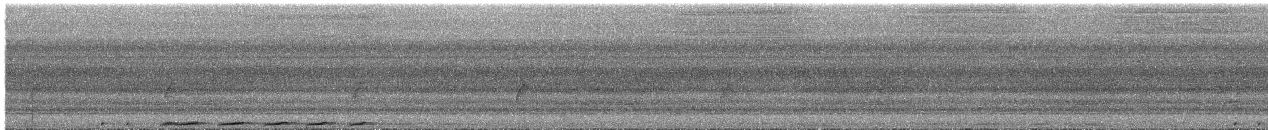 Суланская длиннохвостая горлица - ML650603986