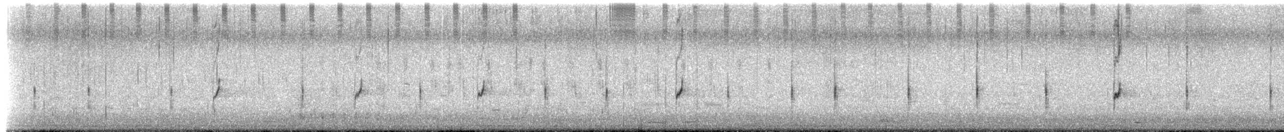 Double-banded Plover - ML650606320