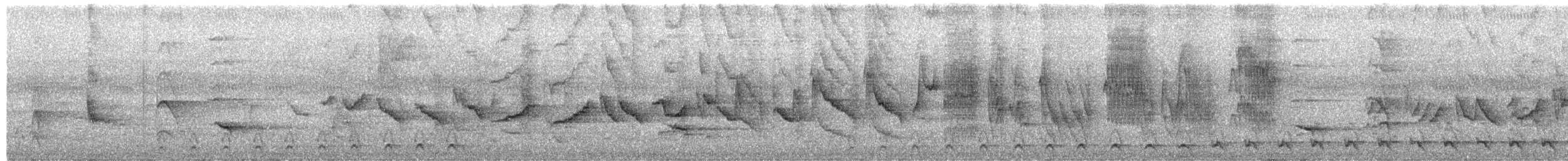 Chestnut-bellied Seed-Finch - ML650612738