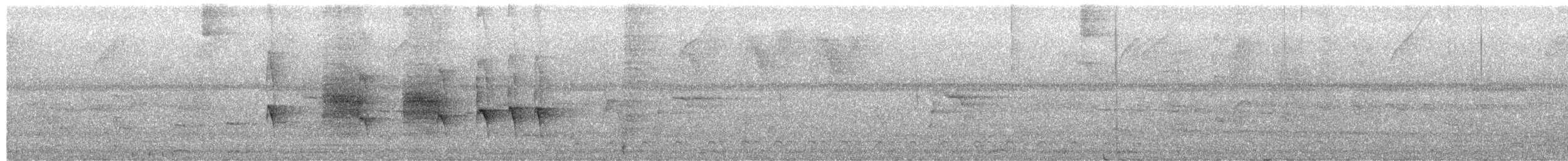 Striated Antbird - ML650612742